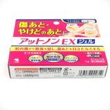 Kobayashi Atnon Scar Removal EX body Gel 15g小林製藥淡斑淡疤凝膠