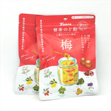 (2 Packs)Kanro Plum Honey Healthy Throat Candy -Plum Flavor 90g梅子蜂蜜健康潤喉糖