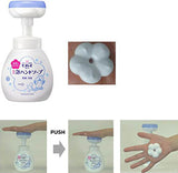 Biore Foaming Stamp Hand Soap Flower Type Body 250ml + Refill 800ml Combo